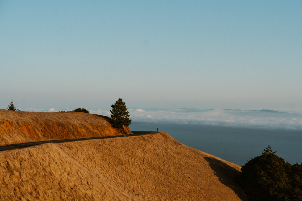 whimsical dreamy golden hour portraits san francisco mount tamalpais