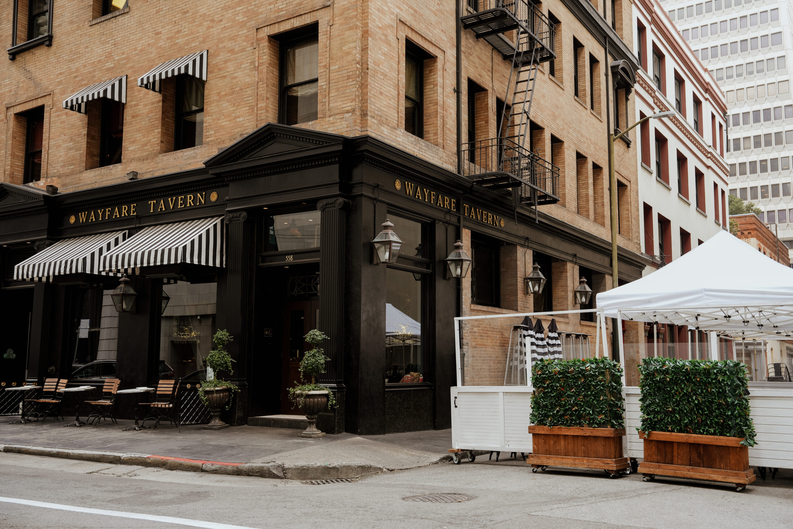 san francisco elopement wayfare tavern