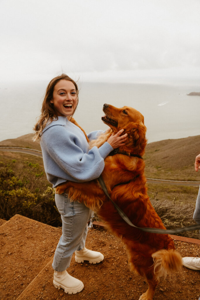 marin headlands san francisco pet family photos