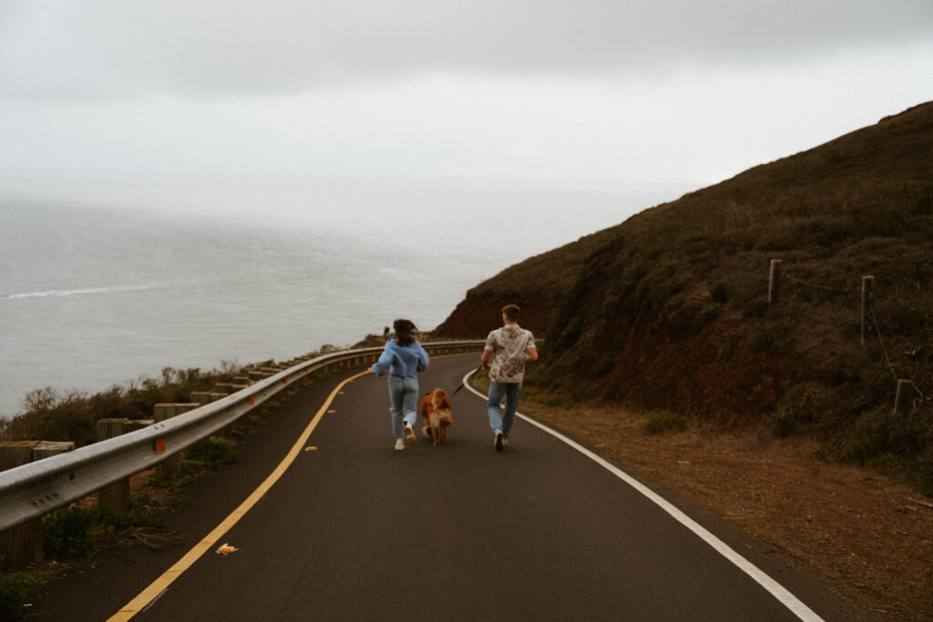 marin headlands san francisco pet family photos