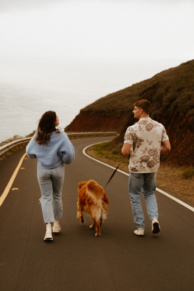 marin headlands san francisco pet family photos