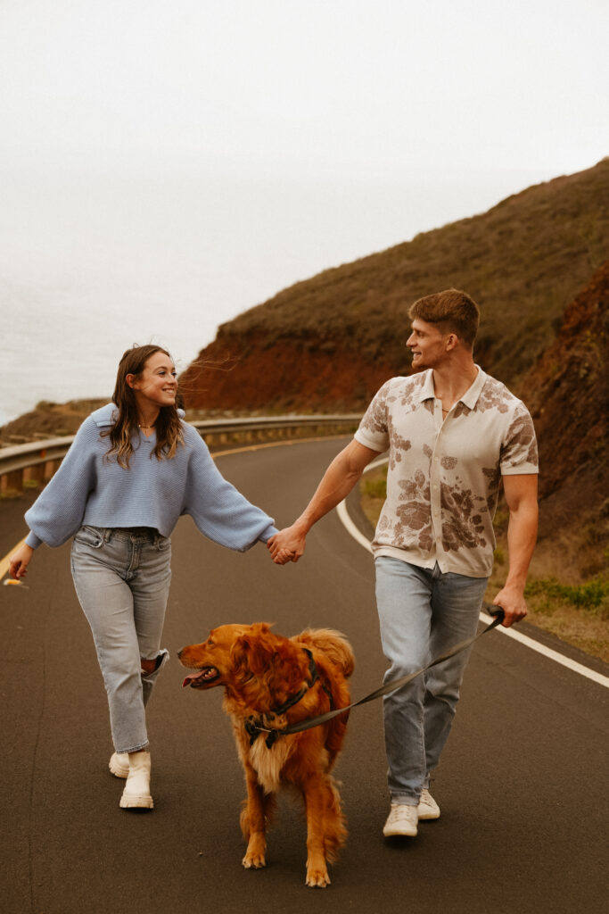 marin headlands san francisco pet family photos