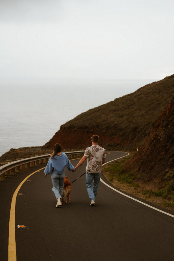 marin headlands san francisco pet family photos