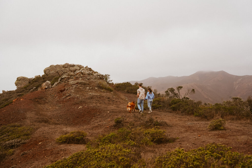 marin headlands san francisco pet family photos