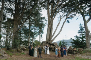 GillianandBen Elopement StrawberryHillGoldenGatePark